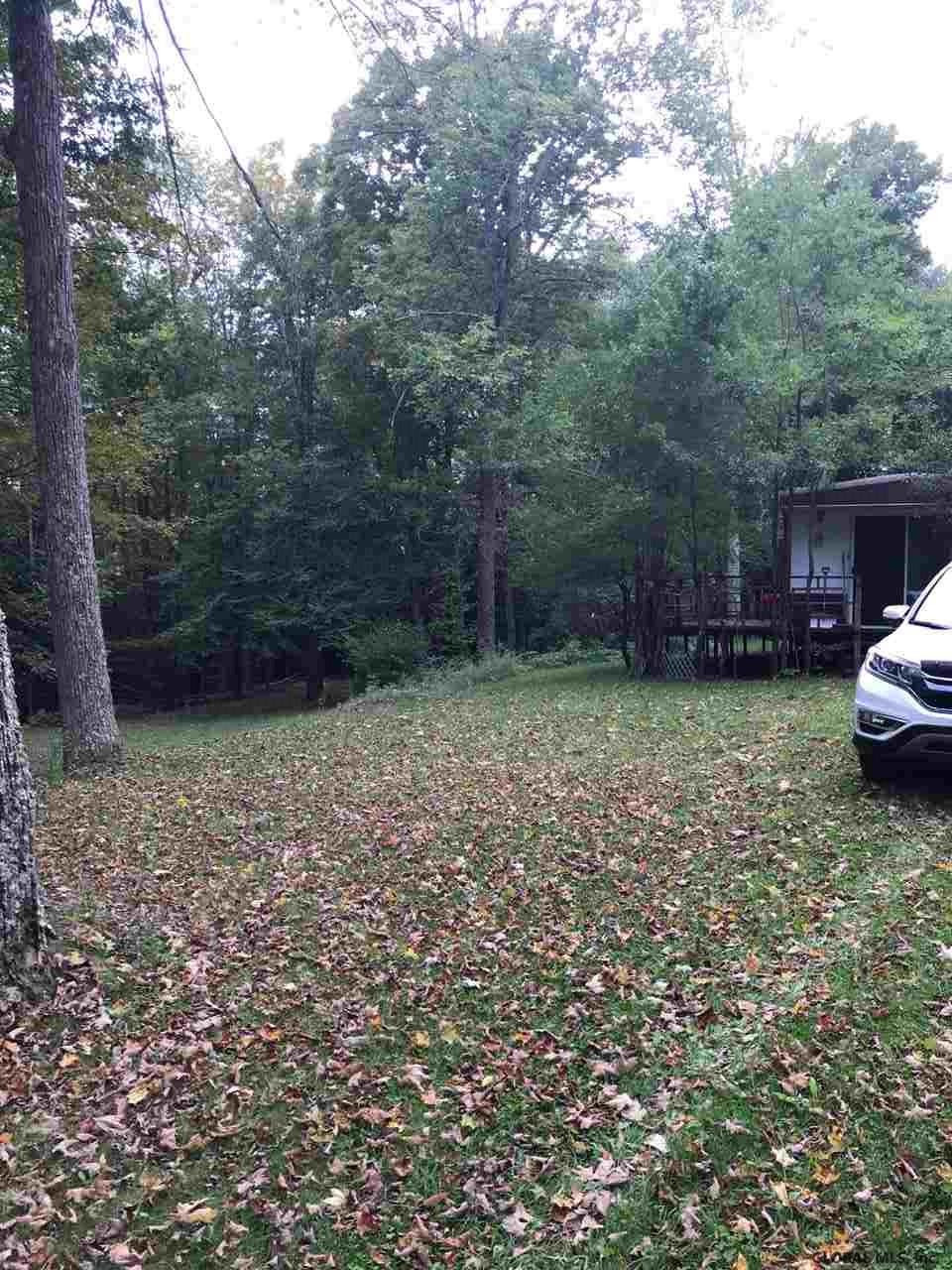 809 Bear Kill Road Conesville, NY 12076 - Photo 38 of 40 Photo 39