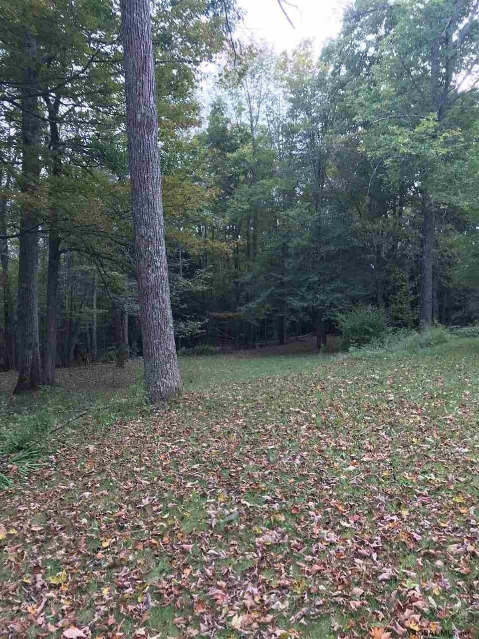 809 Bear Kill Road Conesville, NY 12076 - Photo 40 of 40 Photo 41
