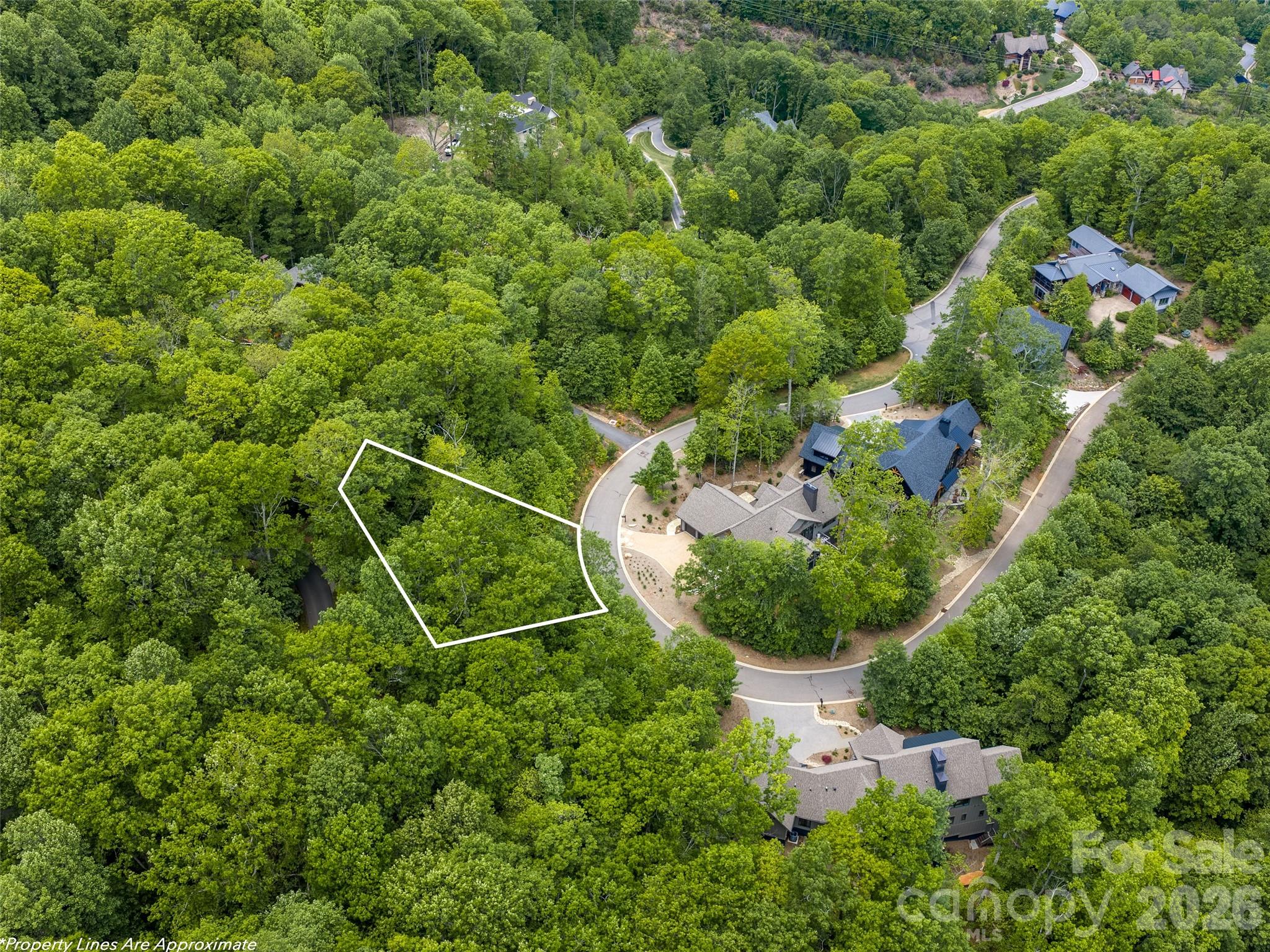 11 Crockett Ridge Road Black Mountain, NC 28711 - Photo 13 of 19 an aerial view of a house