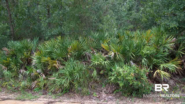 0 Mobile Avenue Elberta, AL 36530 - Photo 1 of 1