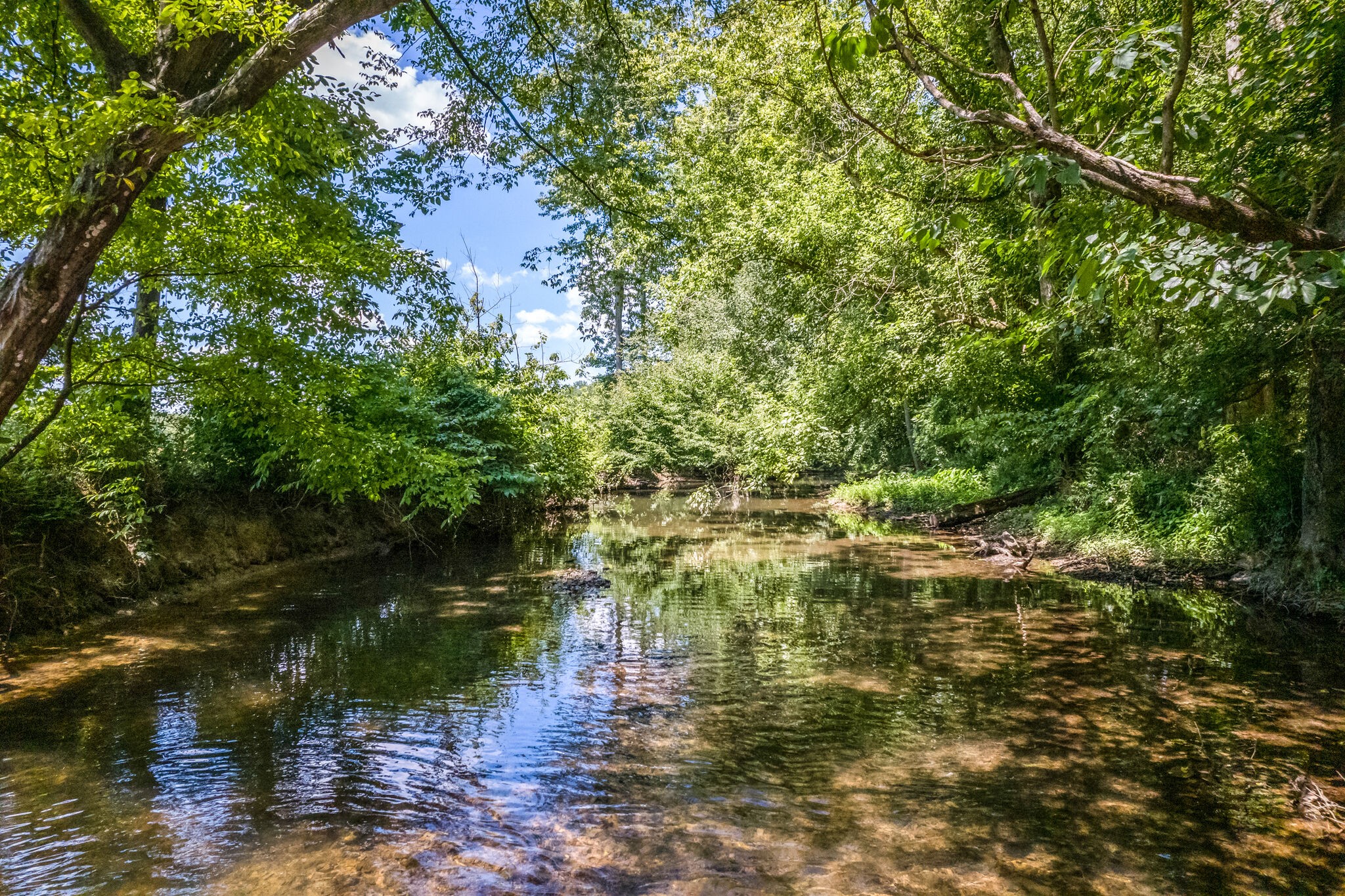 775 Ivy Lake Road Morrison, TN 37357 - Photo 62 of 69