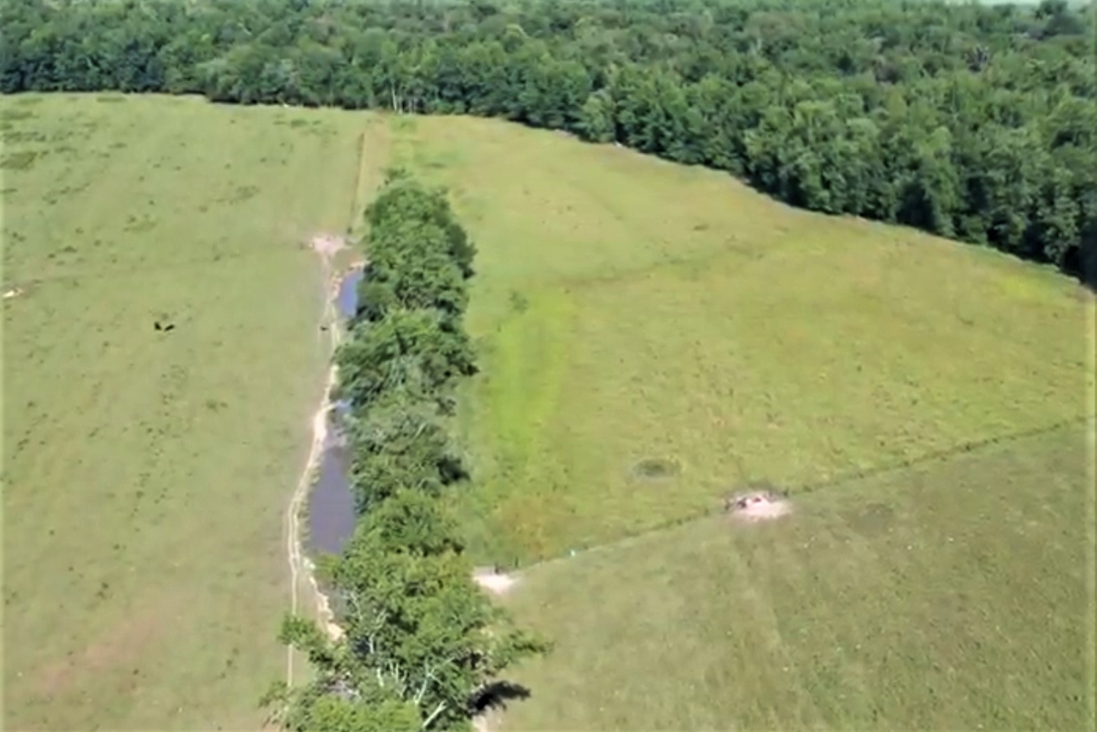 775 Ivy Lake Road Morrison, TN 37357 - Photo 67 of 69