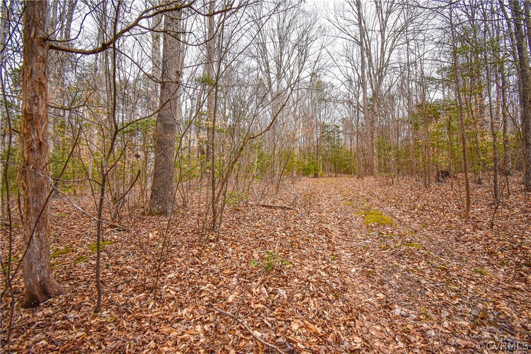 13522 Glebe Road Dewitt, VA 23840 - Photo 17 of 34