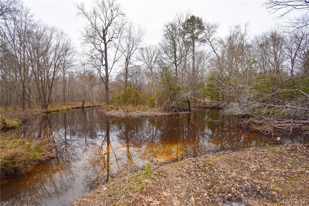 13522 Glebe Road Dewitt, VA 23840 - Photo 20 of 34