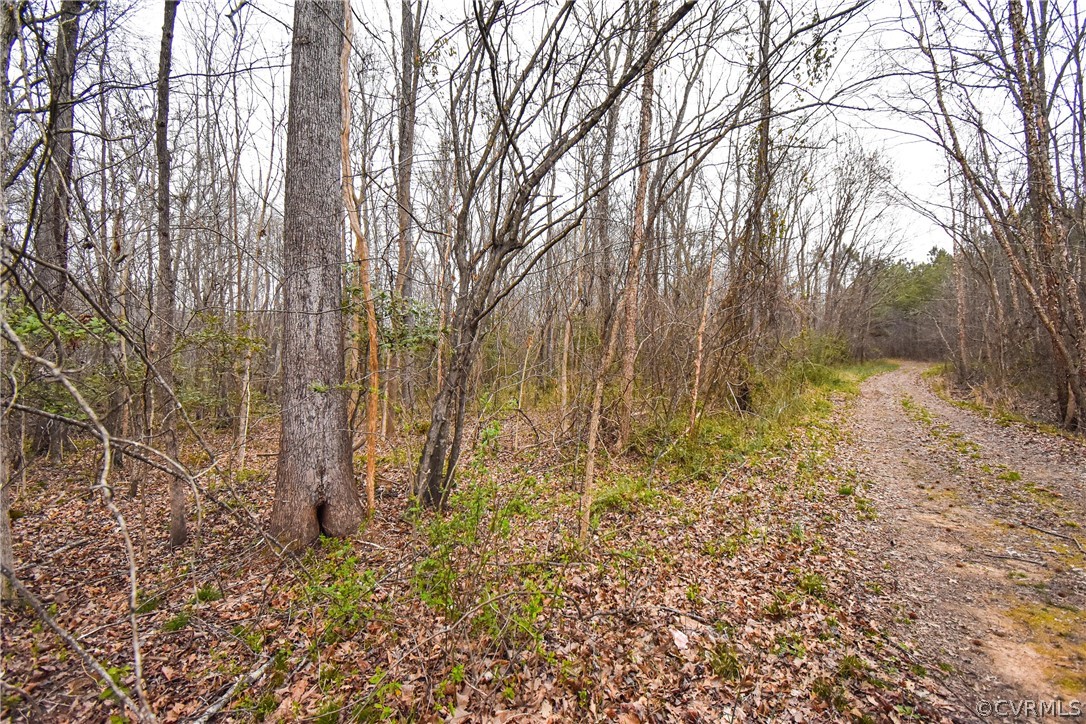 13522 Glebe Road Dewitt, VA 23840 - Photo 23 of 34