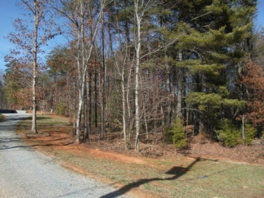 3423 Ingramville Road Ferrum, VA 24088 - Photo 23 of 25 Driveway & Woods