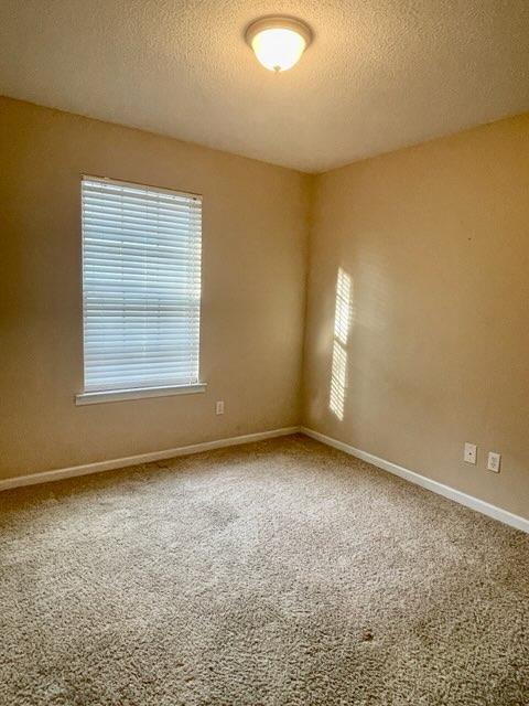 227 Primrose Drive Dothan, AL 36303 - Photo 9 of 10