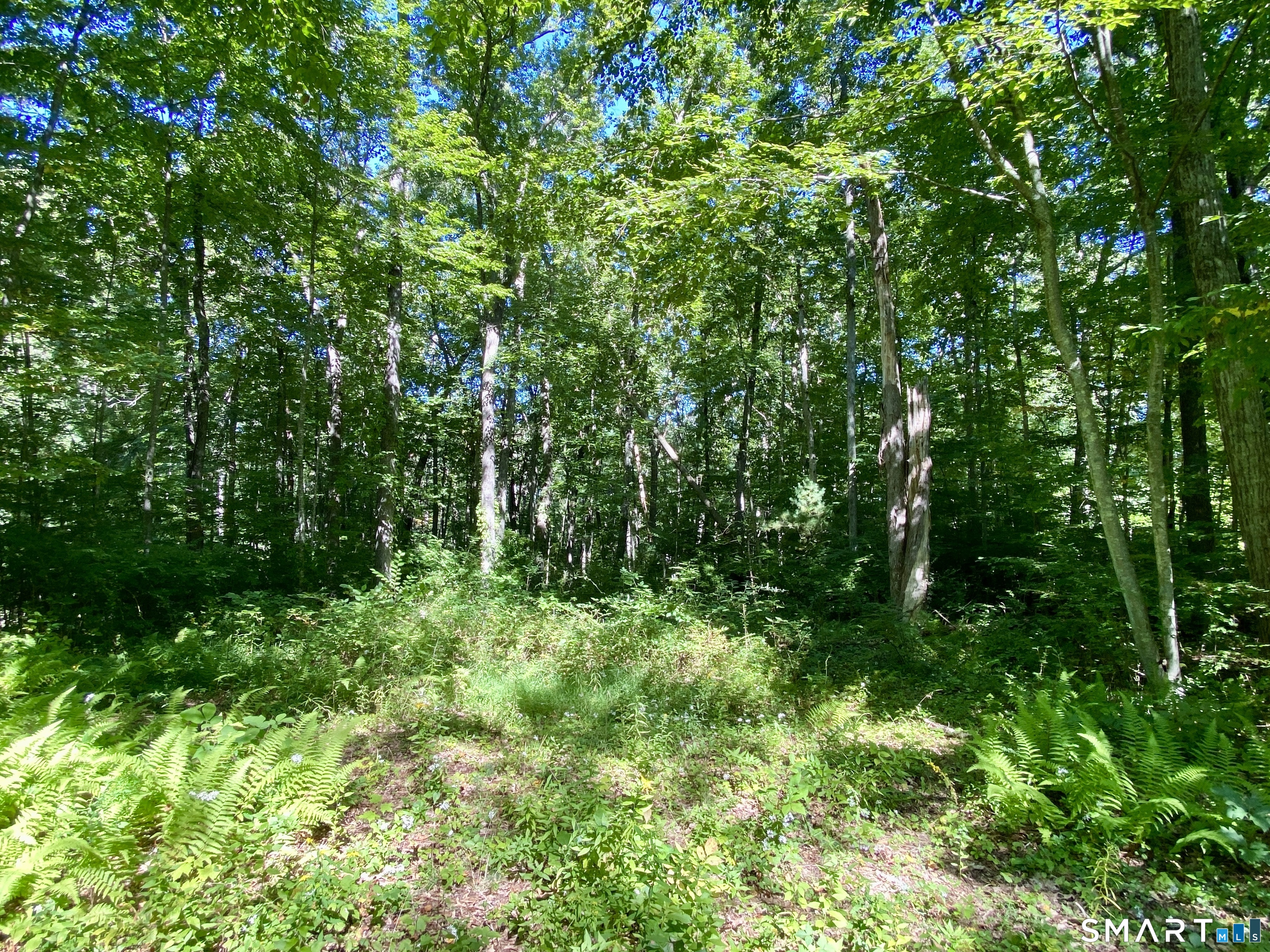 86 Seagraves Road Coventry, CT 06238 - Photo 4 of 6 Nice Land to Build On