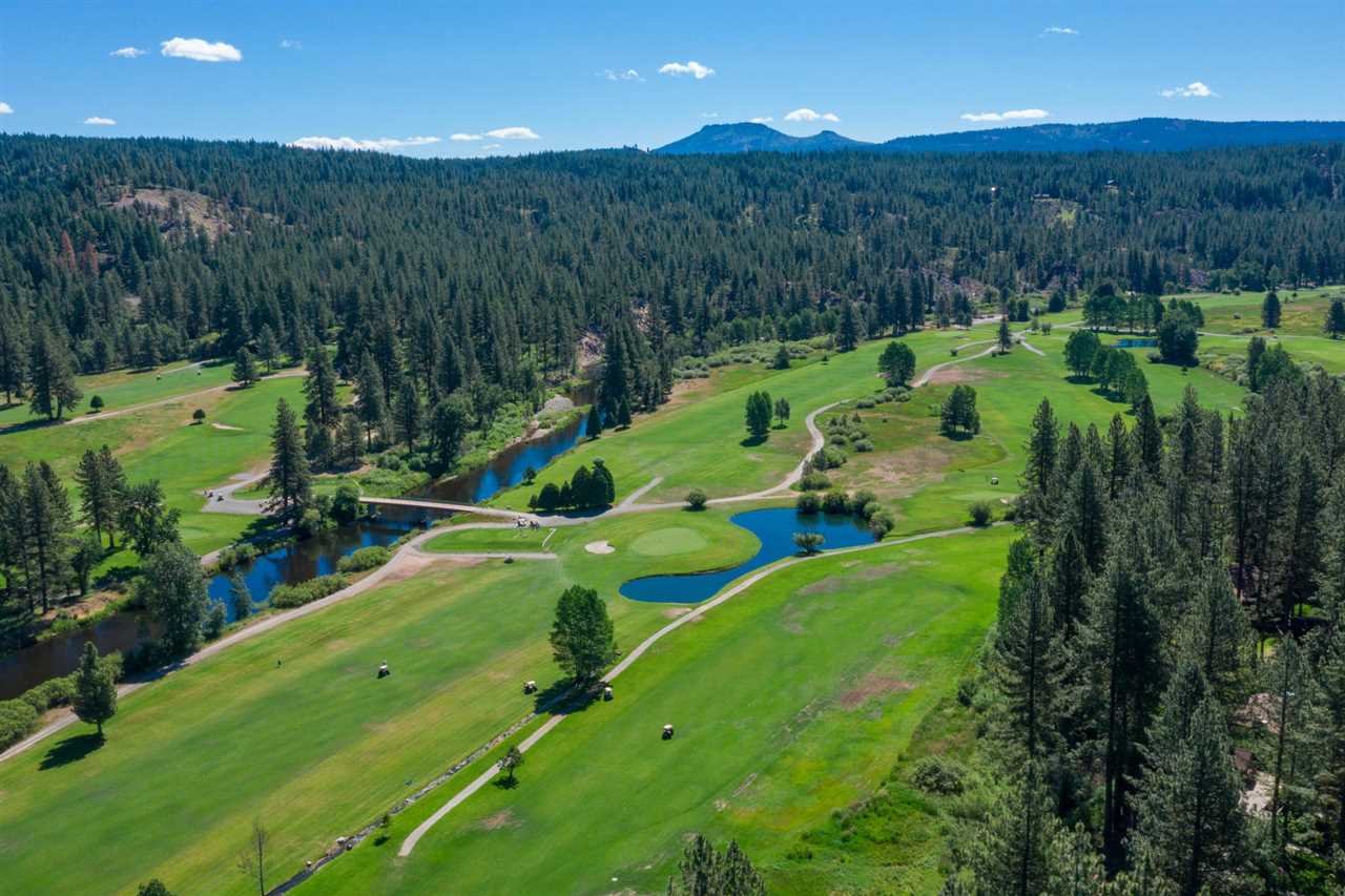 92 Graeagle Meadows Road Graeagle, CA 96103 - Photo 3 of 19 a view of a lush green forest