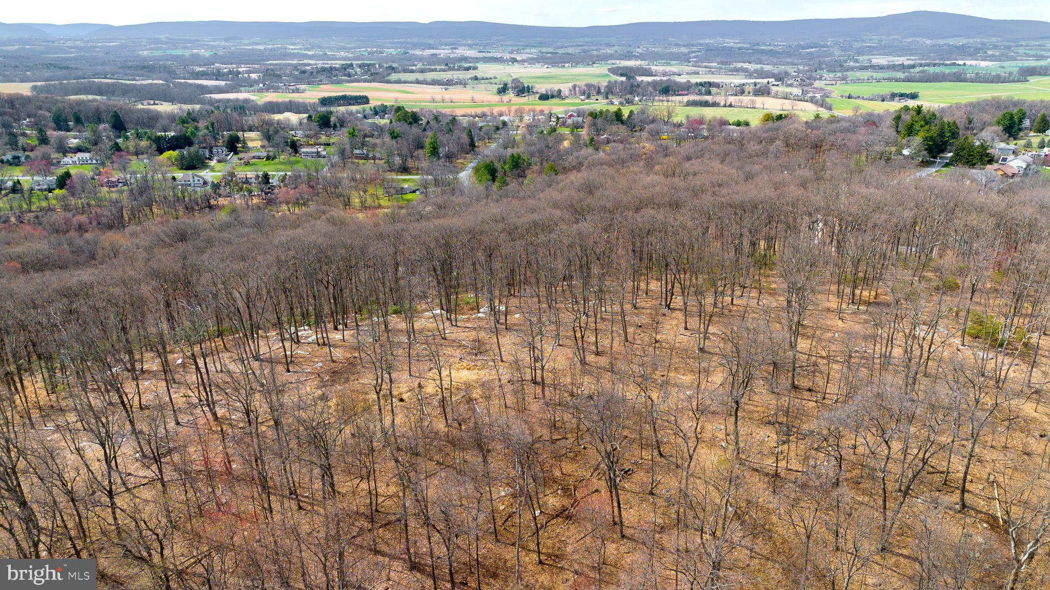 Mt Zion Road Frederick, MD 21703 - Photo 3 of 8