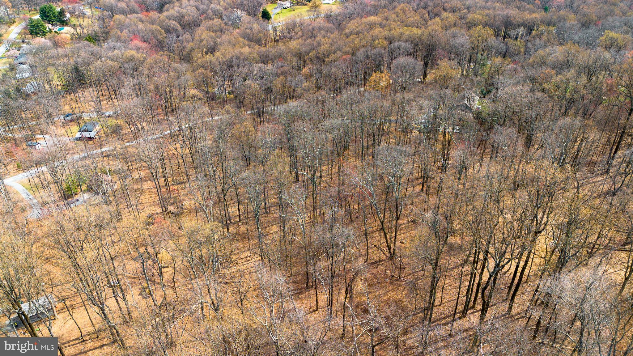 Mt Zion Road Frederick, MD 21703 - Photo 6 of 8