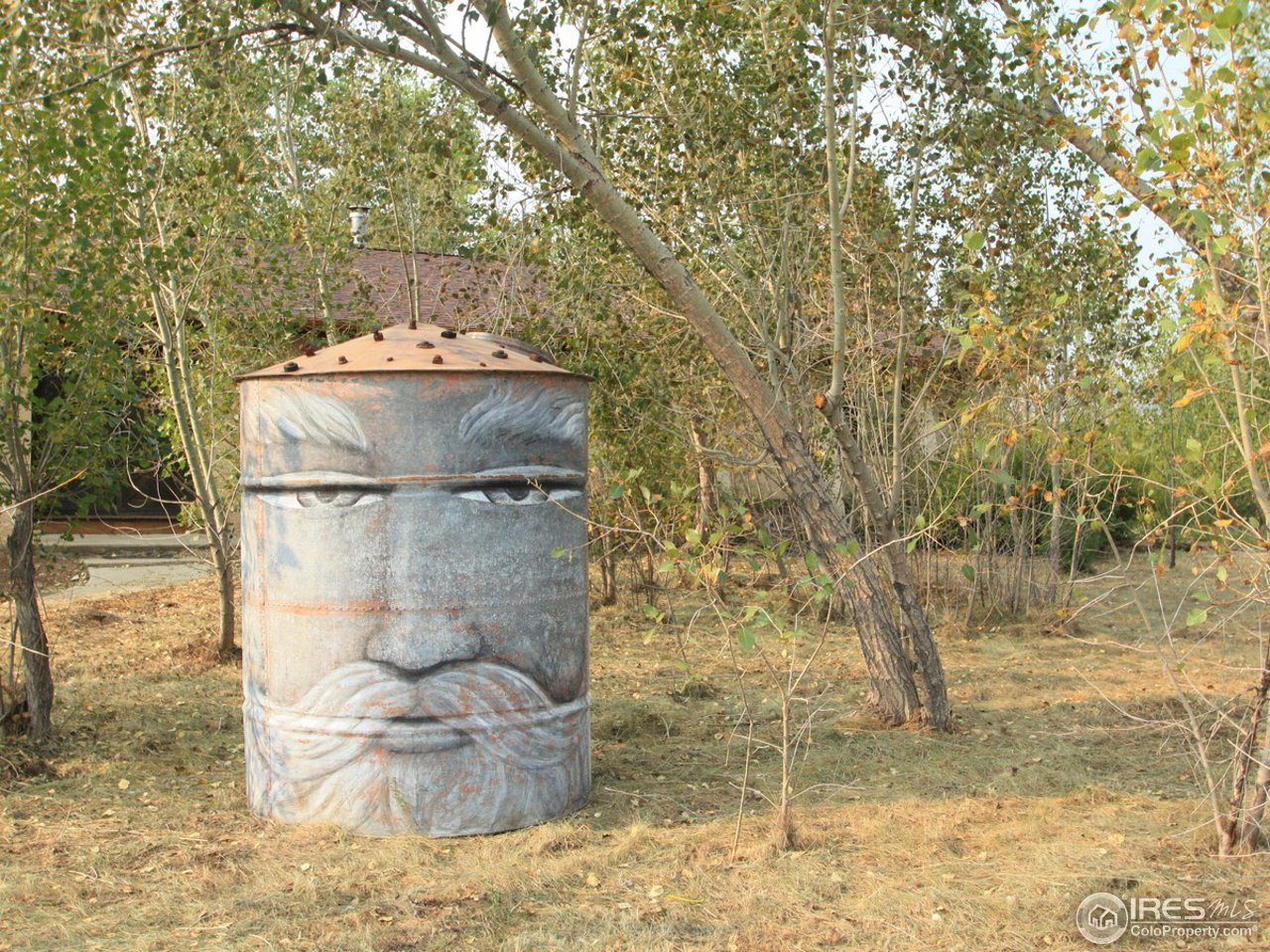 3718 Plateau Road Longmont, CO 80503 - Photo 6 of 17 Metal Sculpture