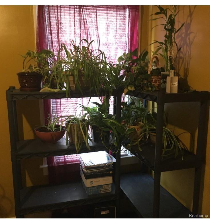 14821 Rutherford Street Detroit, MI 48227 - Photo 16 of 21 Plants.jpg