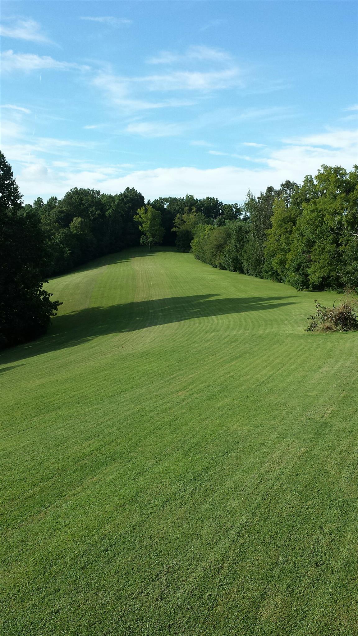 555 Windy Ridge Wartrace, TN 37183 - Photo 23 of 23 View of "golf course " back property from the house .