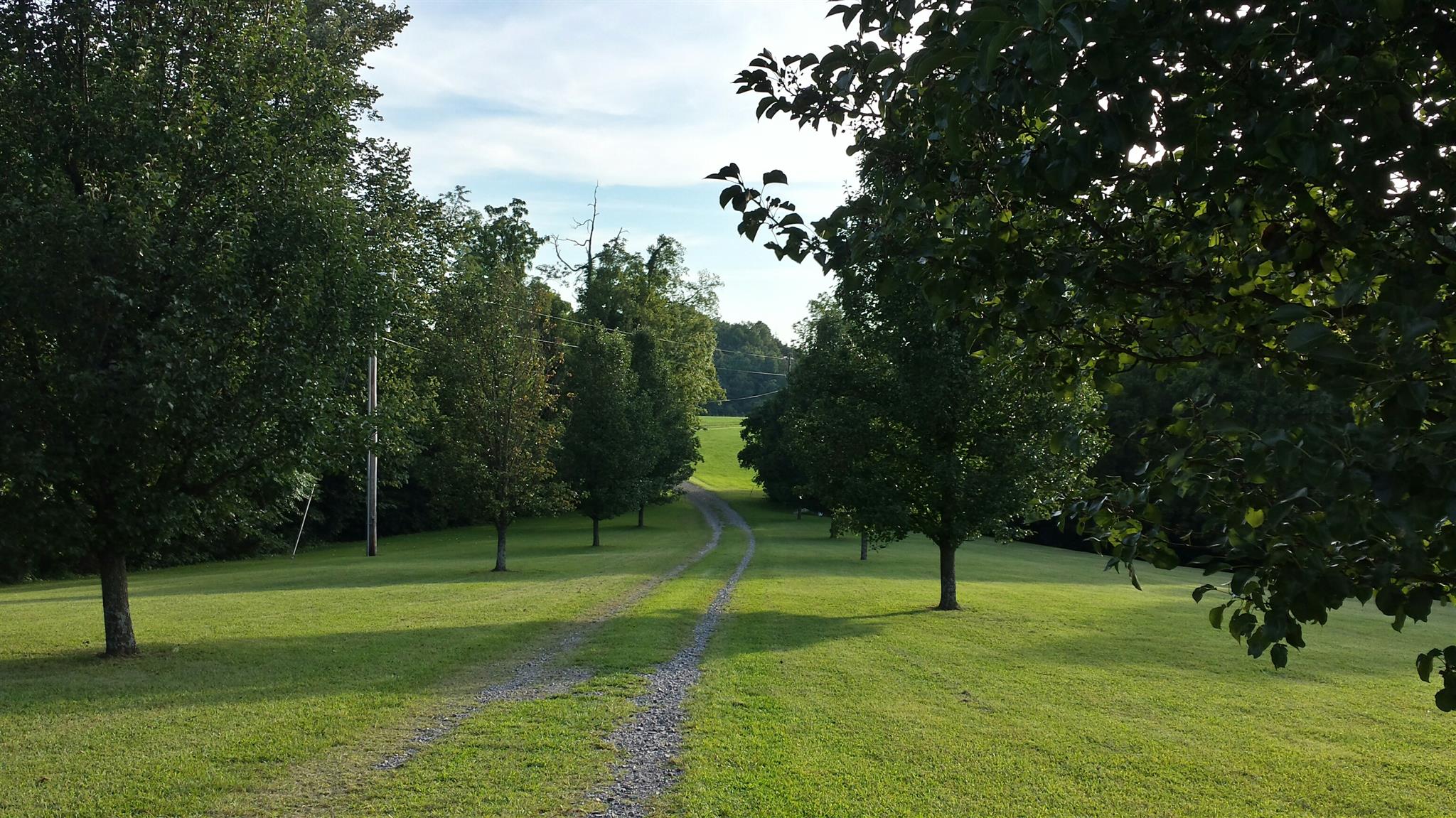 555 Windy Ridge Wartrace, TN 37183 - Photo 3 of 23 View from house looking down the drive