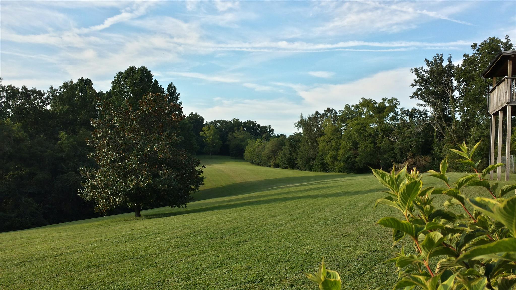 555 Windy Ridge Wartrace, TN 37183 - Photo 7 of 23 Beautiful view of the back property