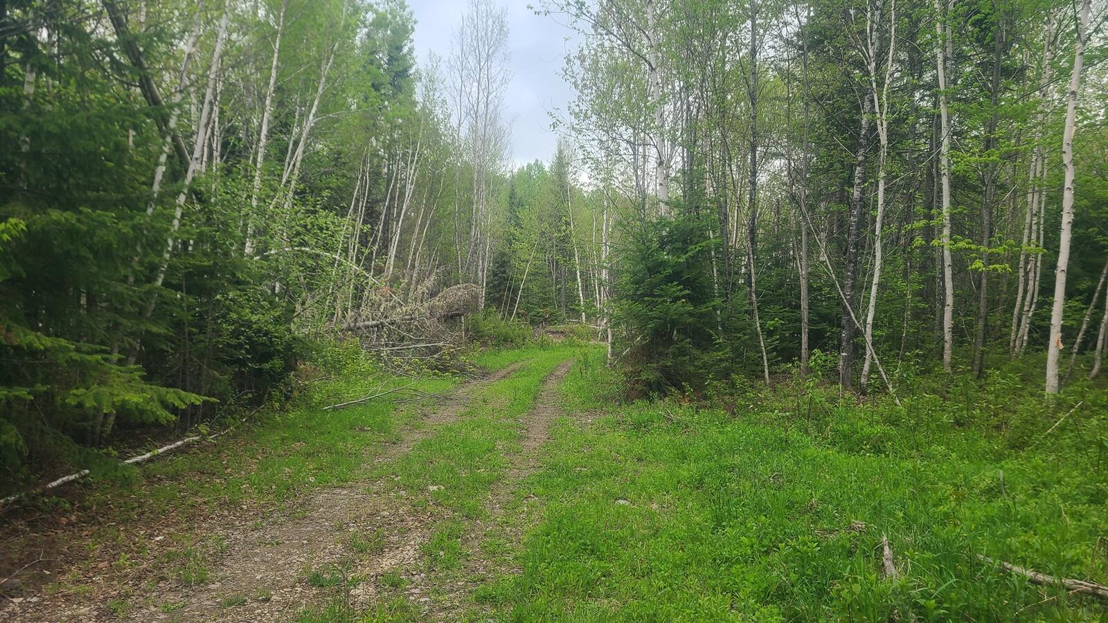 26 28/33/4 Aroostook Road Portage, ME 04768 - Photo 9 of 15 20260529_120013