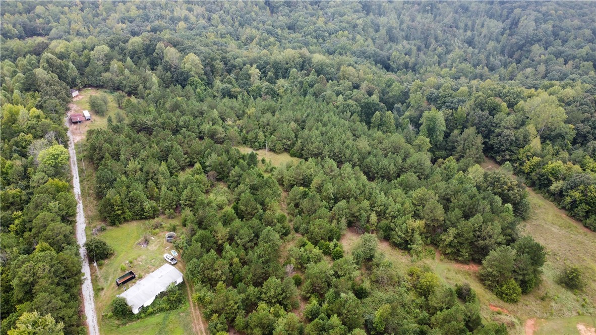 921 Dockins Drive Fair Play, SC 29643 - Photo 6 of 10 Gallery Image 6
