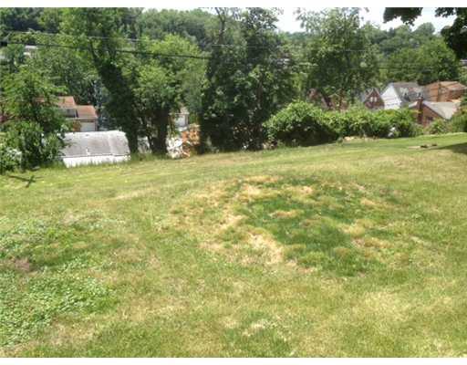 1666 Elderslee Road Baldwin, PA 15227 - Photo 9 of 9 Yard/Garden.