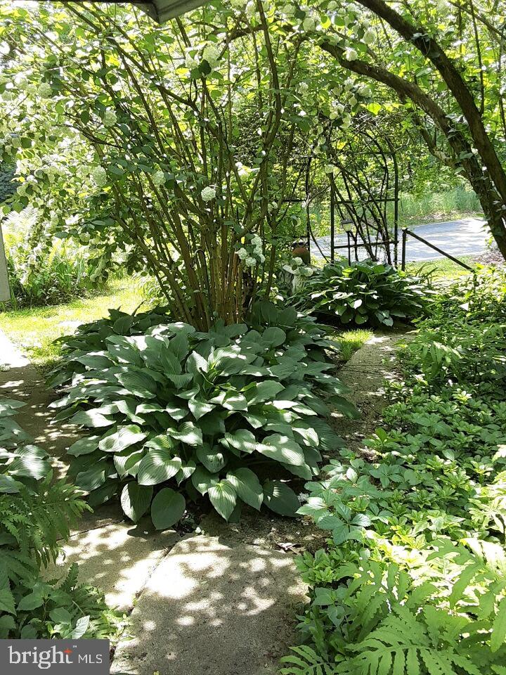 286 Spies Church Road Reading, PA 19606 - Photo 14 of 47 walkway from carport to enter home rear deck