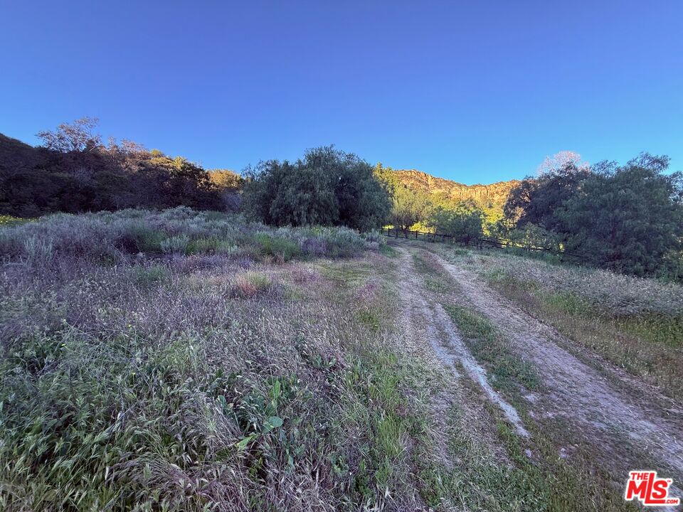 23629 Zuniga Road Topanga, CA 90290 - Photo 12 of 21
