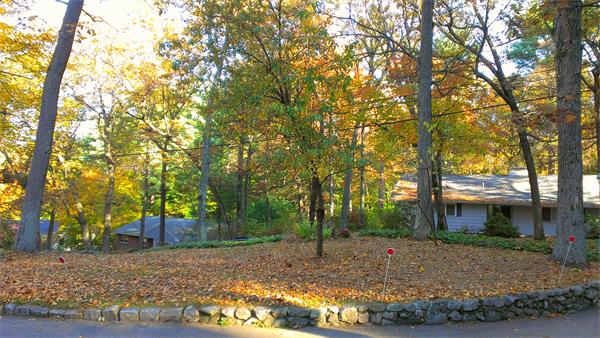 8 Pequot Road Wayland, MA 01778 - Photo 4 of 27 Gallery Image 4