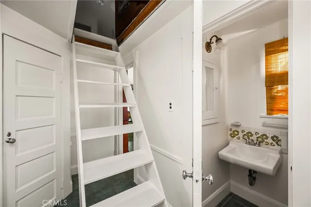 a view of backyard with plants and trees