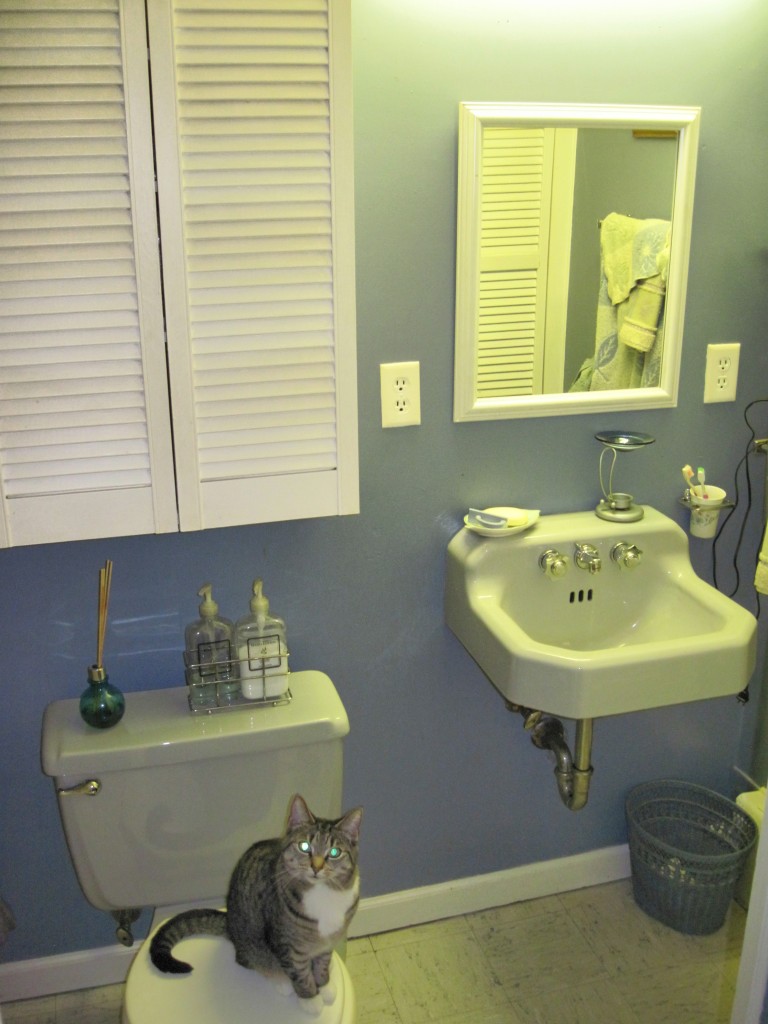 685 Holmes Road Pittsfield, MA 01201 - Photo 14 of 17 Basement Full Bathroom