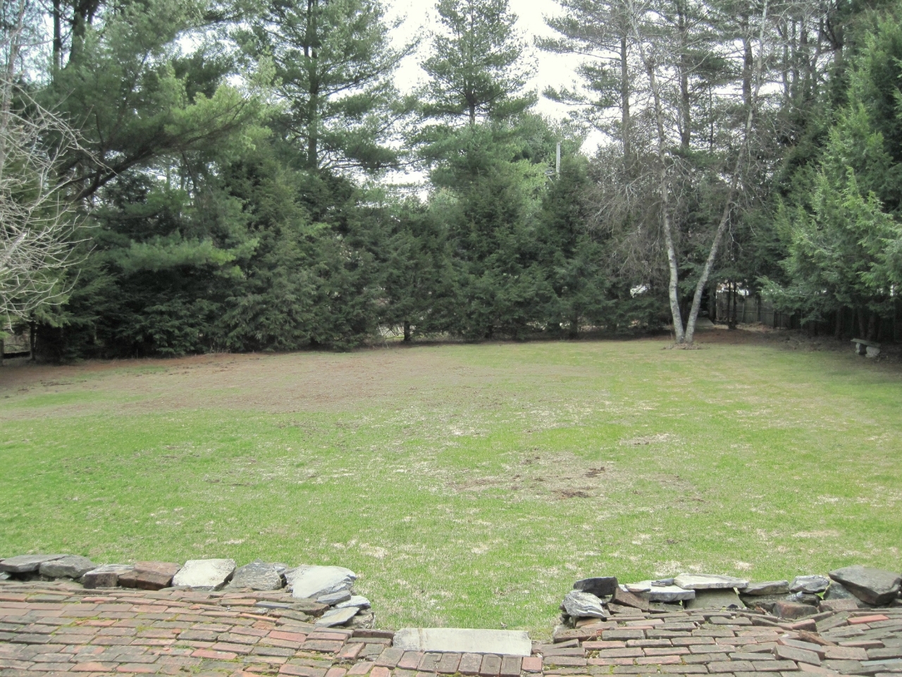 685 Holmes Road Pittsfield, MA 01201 - Photo 17 of 17 Backyard