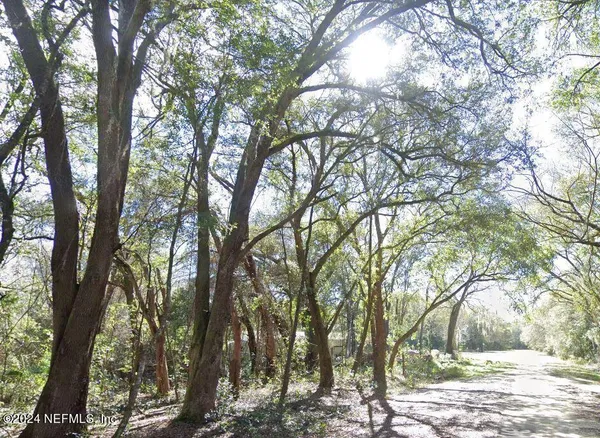 a view of a yard with trees