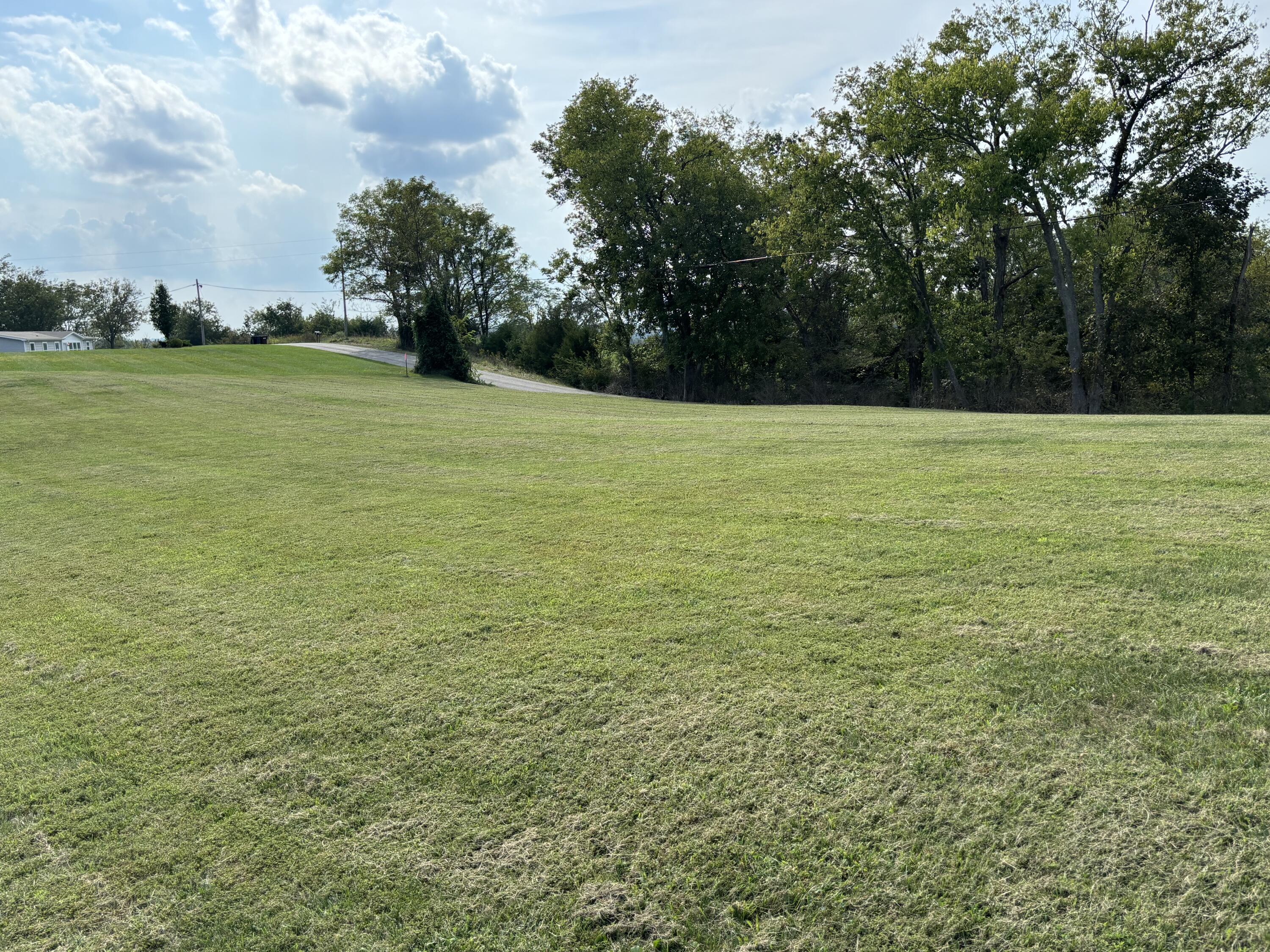 3926 Hogg Ridge Road Williamstown, KY 41097 - Photo 11 of 92 IMG_9118