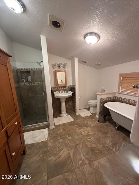 207 Blue Ridge Road Mormon Lake, AZ 86038 - Photo 33 of 67 Primary Bathroom