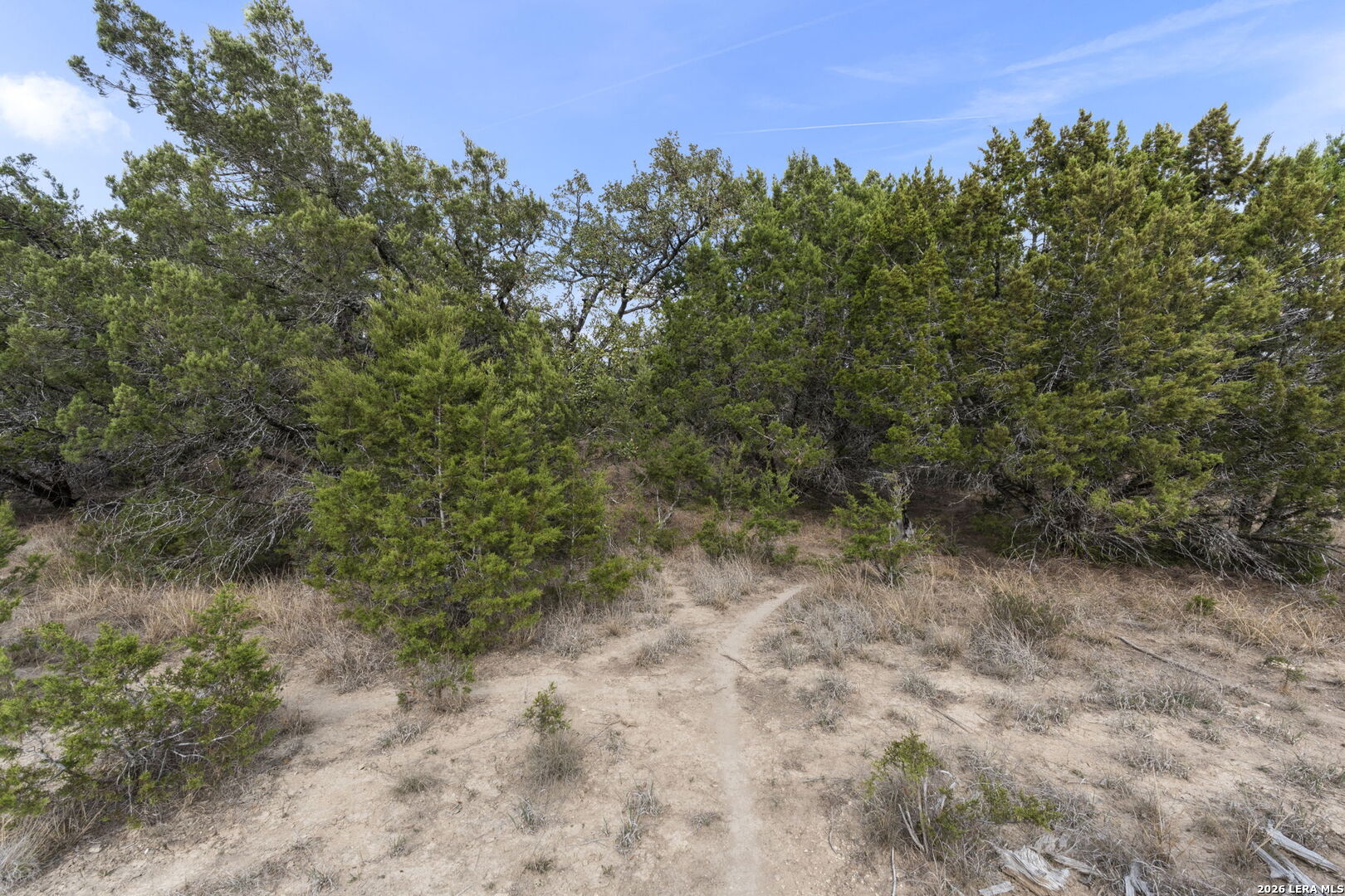 9020 Gainsborough Drive Spring Branch, TX 78070 - Photo 14 of 16