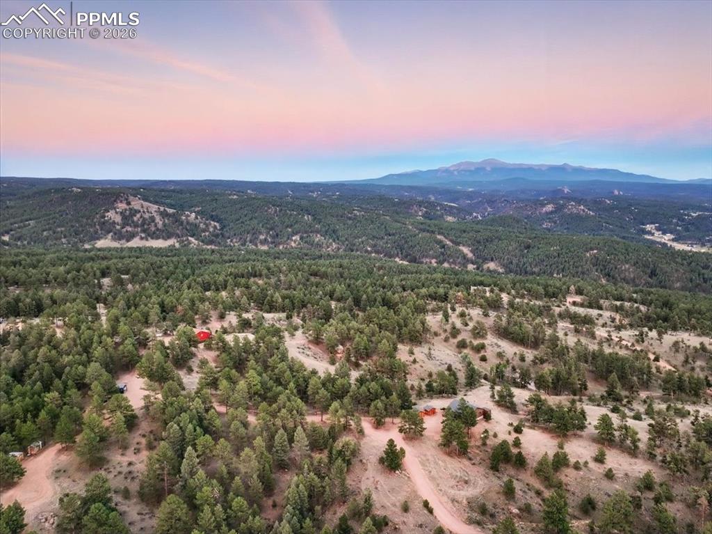 1721 Wildhorn Road Florissant, CO 80816 - Photo 1 of 48