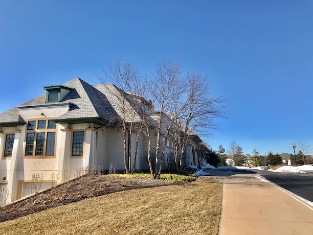 1194 Falcon Ridge Drive Elgin, IL 60124 - Photo 32 of 39