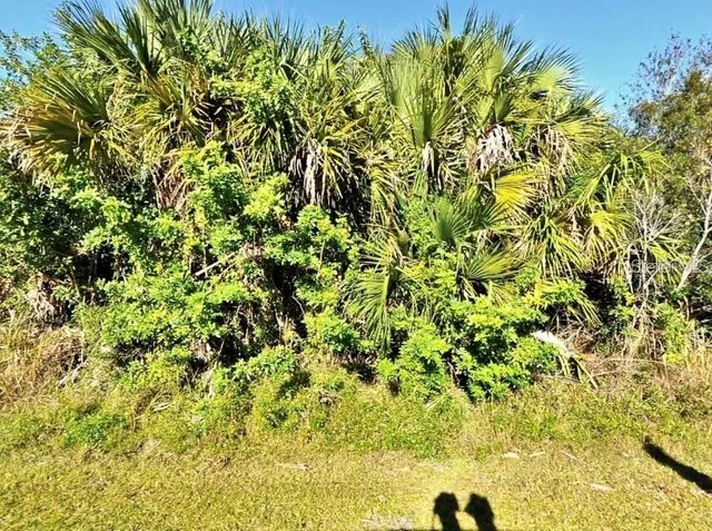 $29,995 | Everett Ter Port, North Port, FL 34286