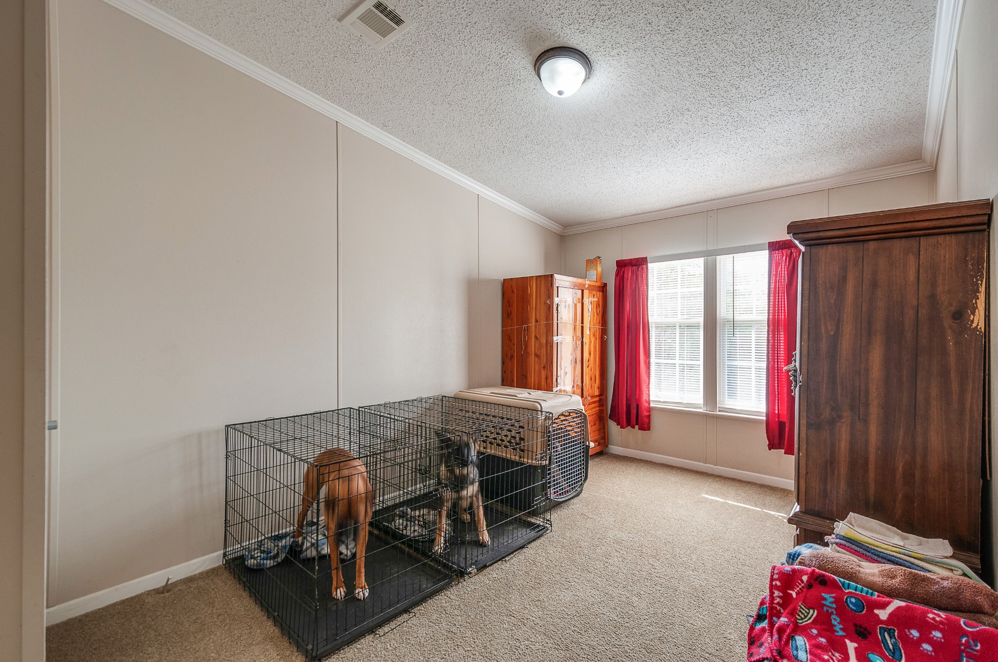 1630 New Kimmins Road Hohenwald, TN 38462 - Photo 17 of 21 Gallery Image 17