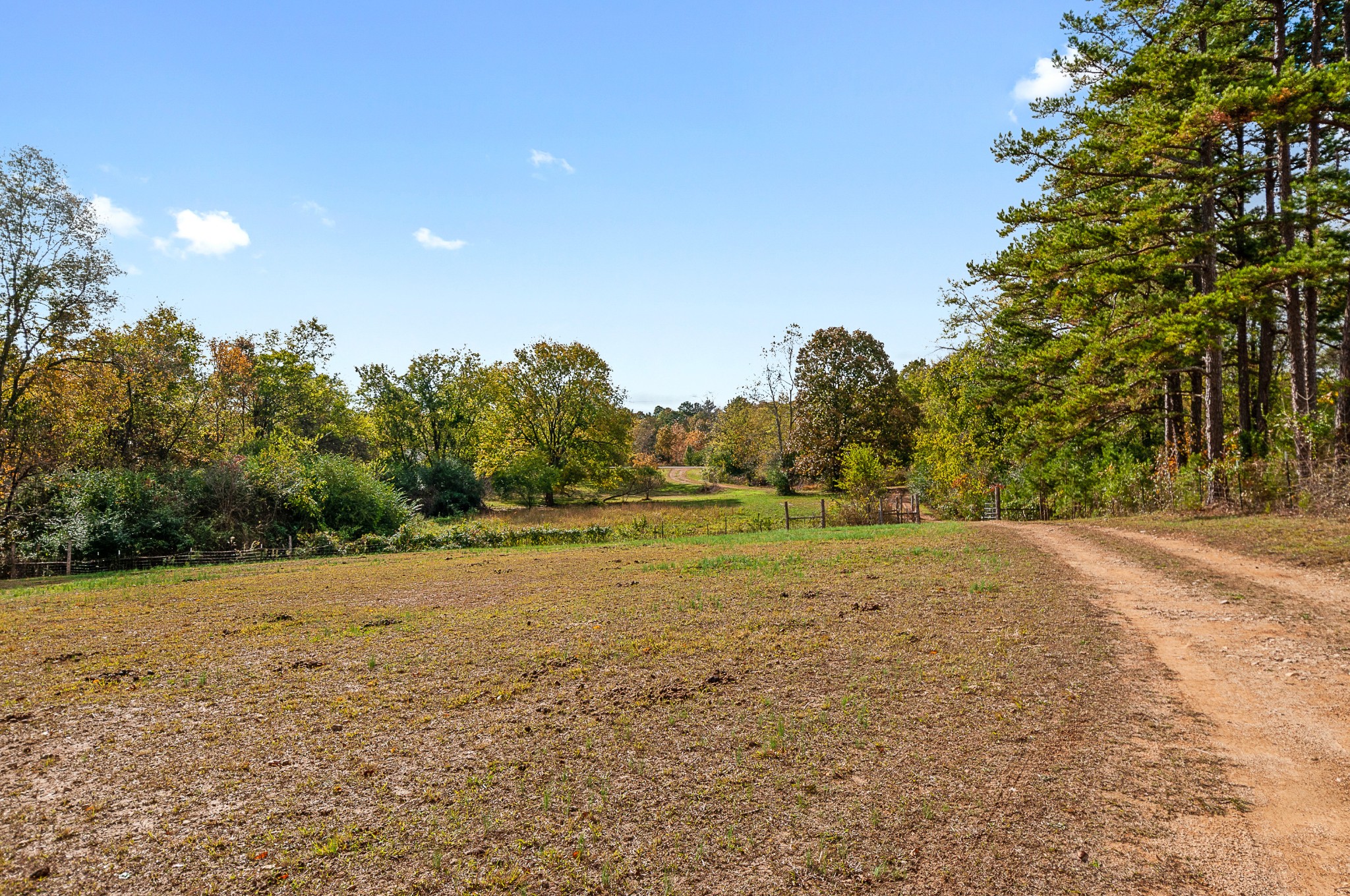 1630 New Kimmins Road Hohenwald, TN 38462 - Photo 3 of 21 Gallery Image 3