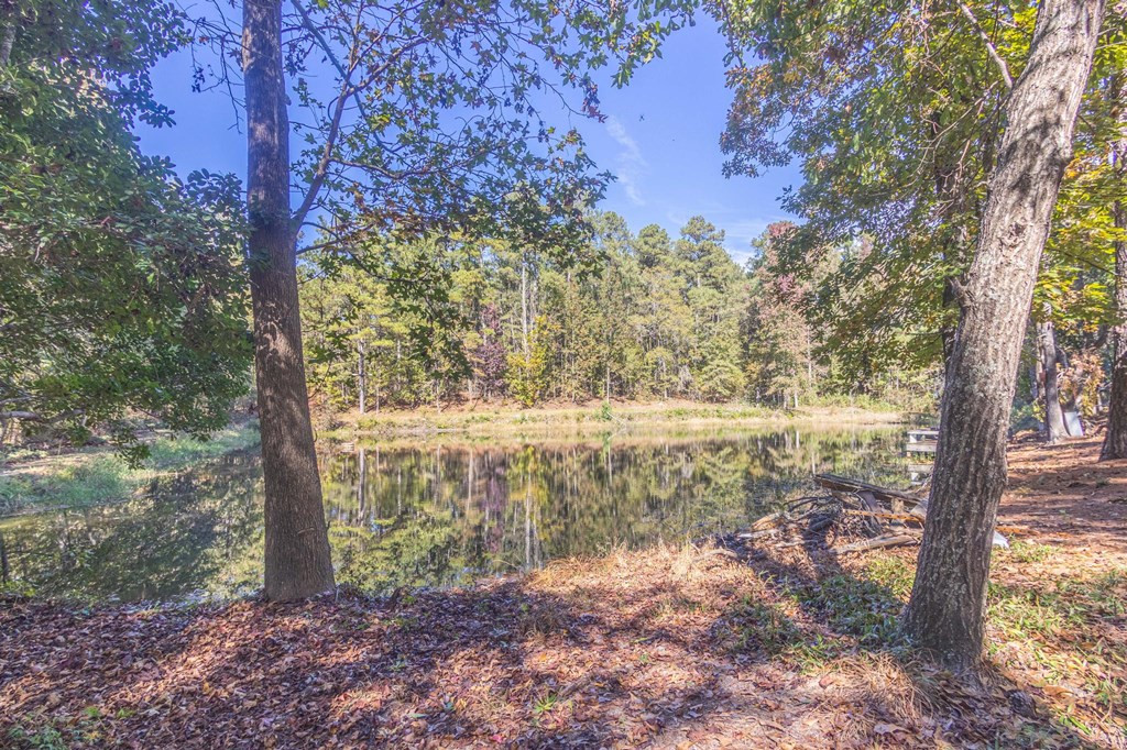 1109 Richardsons Lake Road Aiken, SC 29803 - Photo 59 of 66