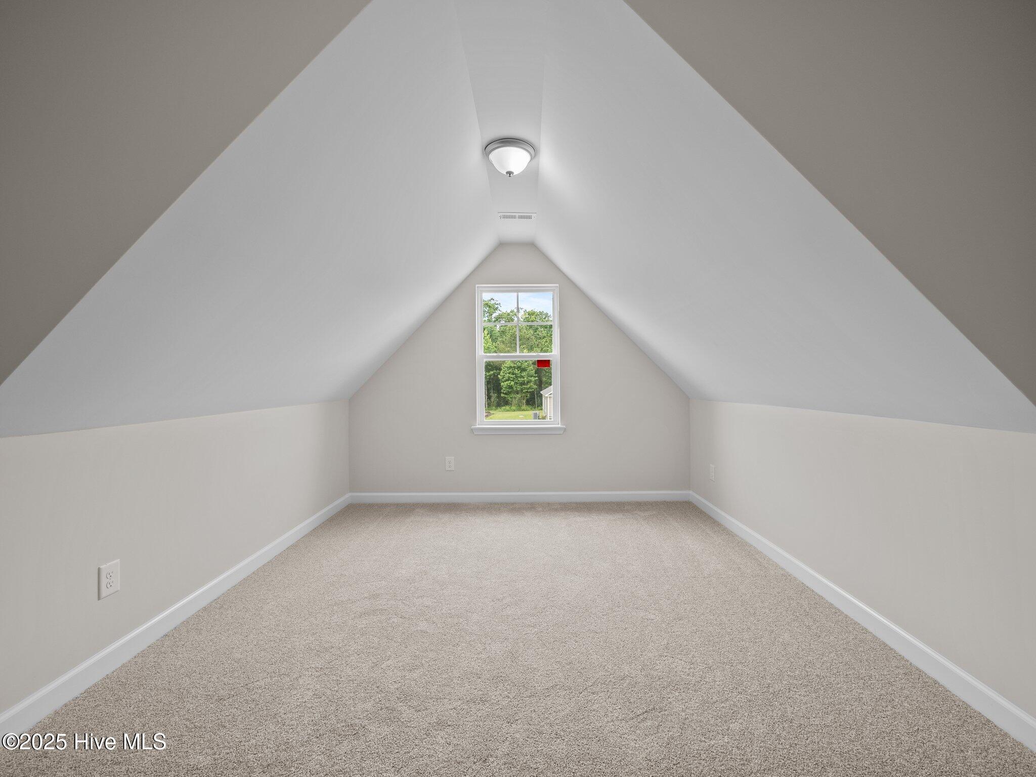 803 Tupelo Tree Drive Hubert, NC 28539 - Photo 24 of 52 23-web-or-mls-P6103223