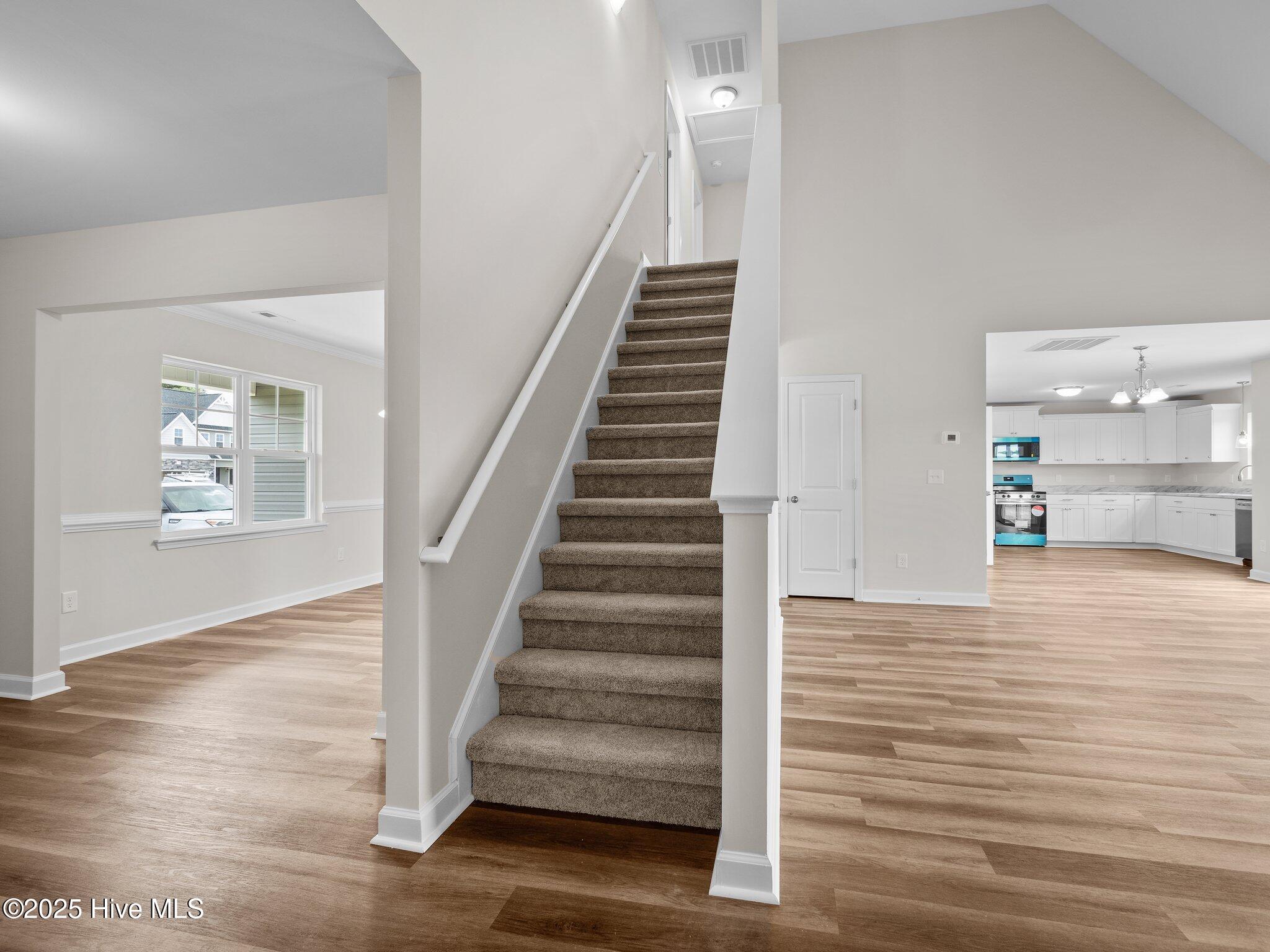 803 Tupelo Tree Drive Hubert, NC 28539 - Photo 30 of 52 29-web-or-mls-P6103327