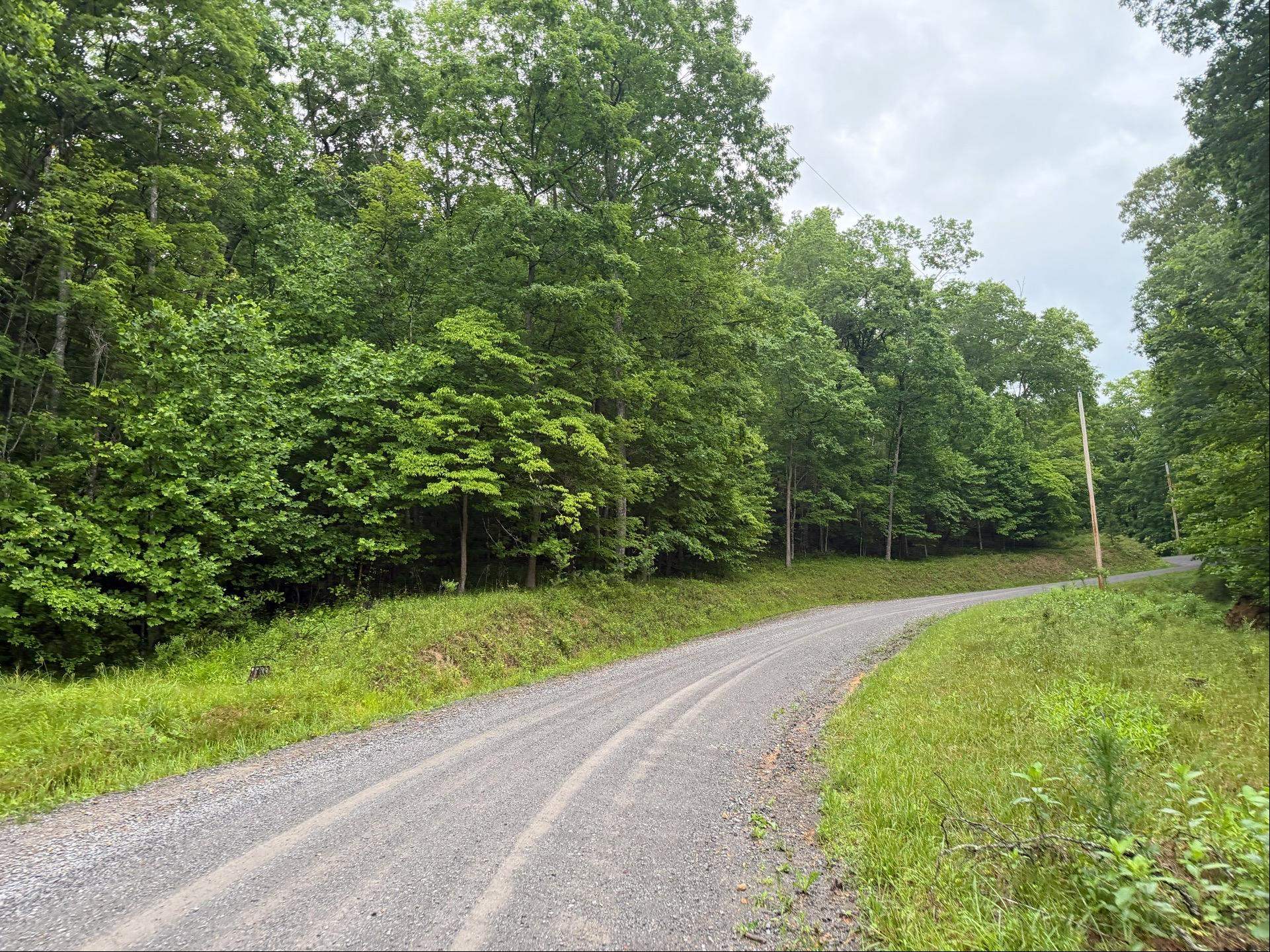 Tbd Cv Crk Road Bastian, VA 24314 - Photo 18 of 19 Gallery Image 18
