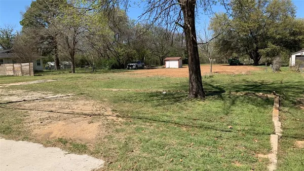 a view of a tree in a yard