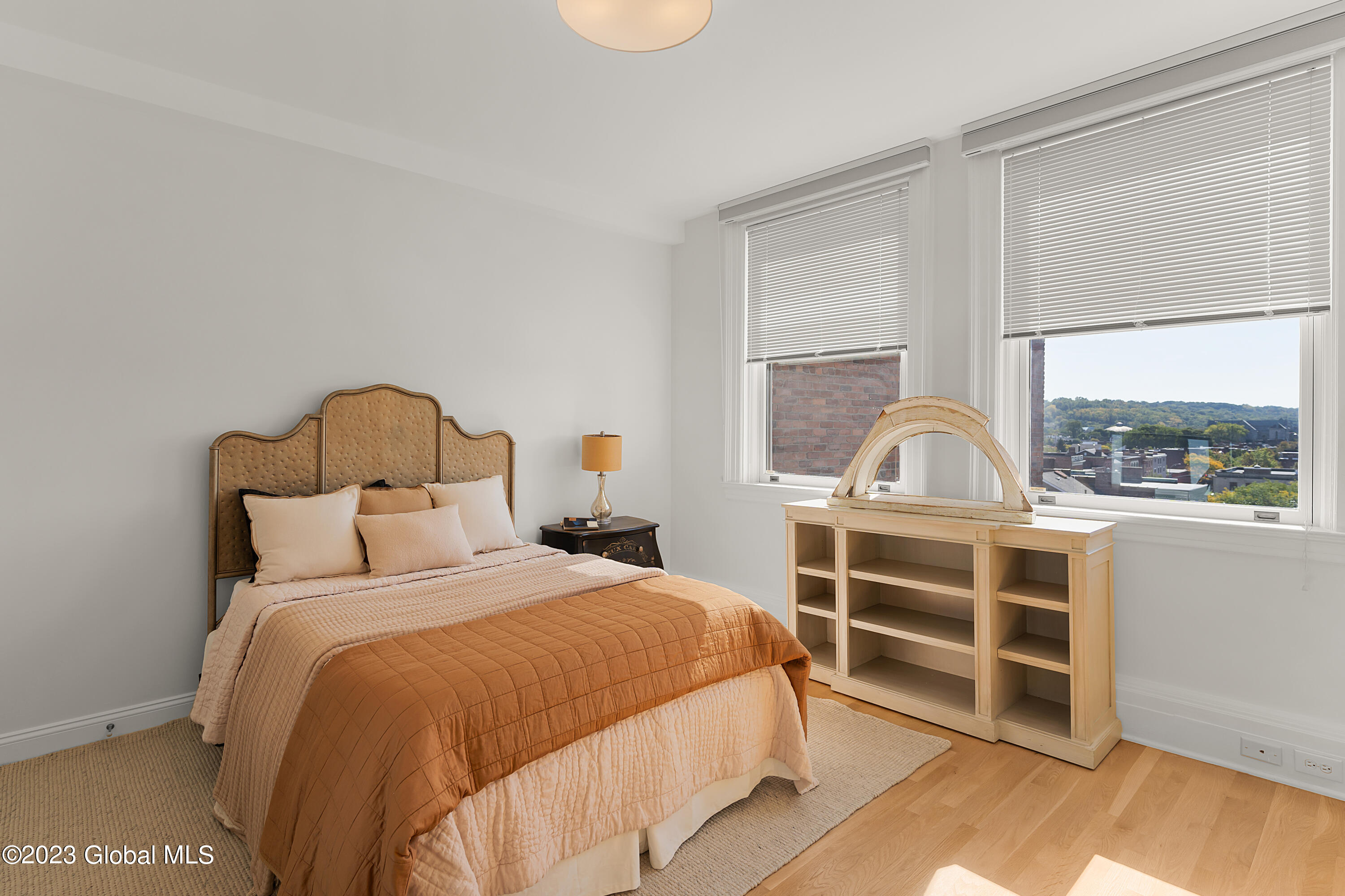 65 3rd Street, Unit 503 Troy, NY 12180 - Photo 20 of 27 EMO01295