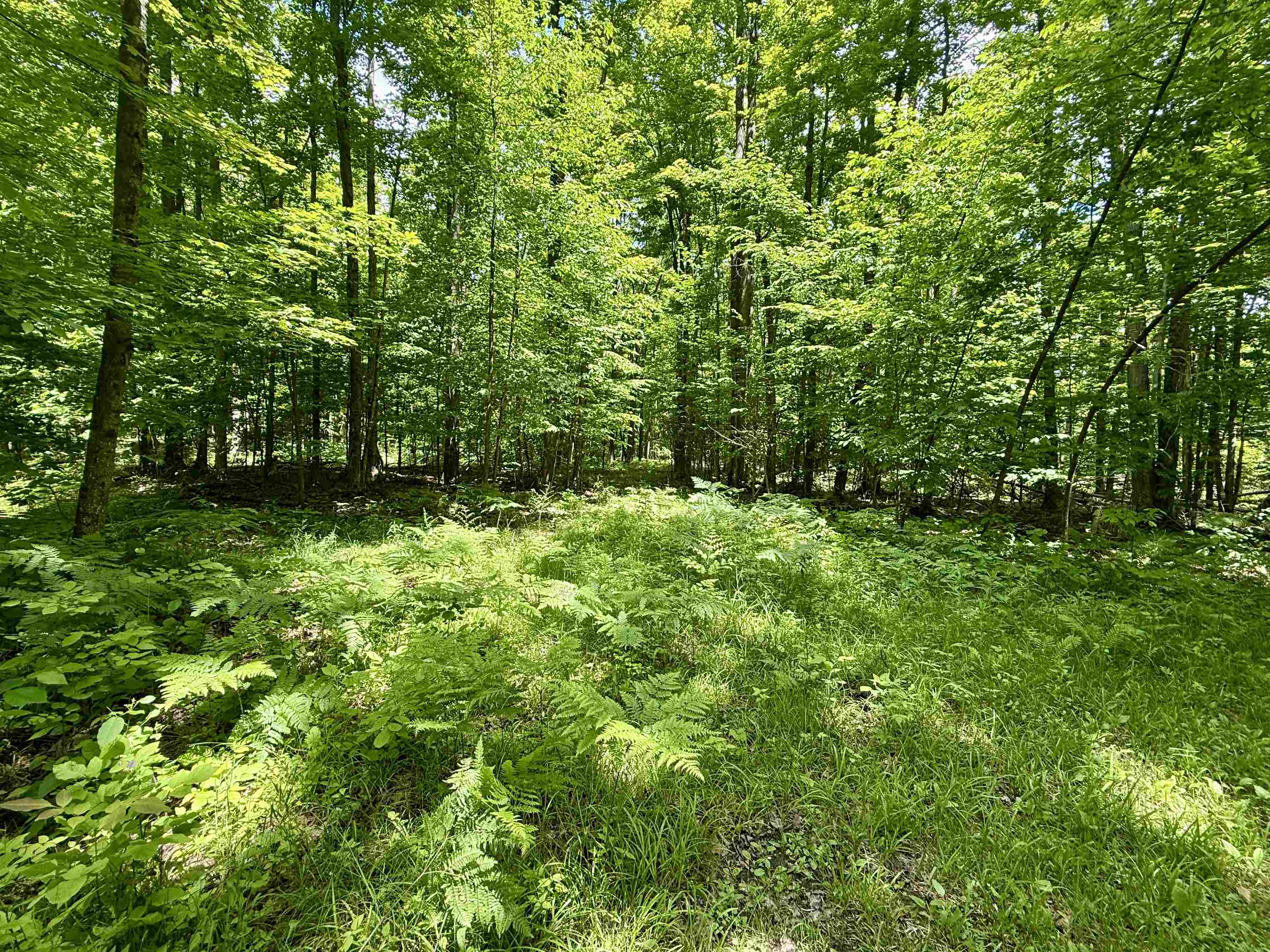 V/l Farrier Road Hillman, MI 49746 - Photo 20 of 26