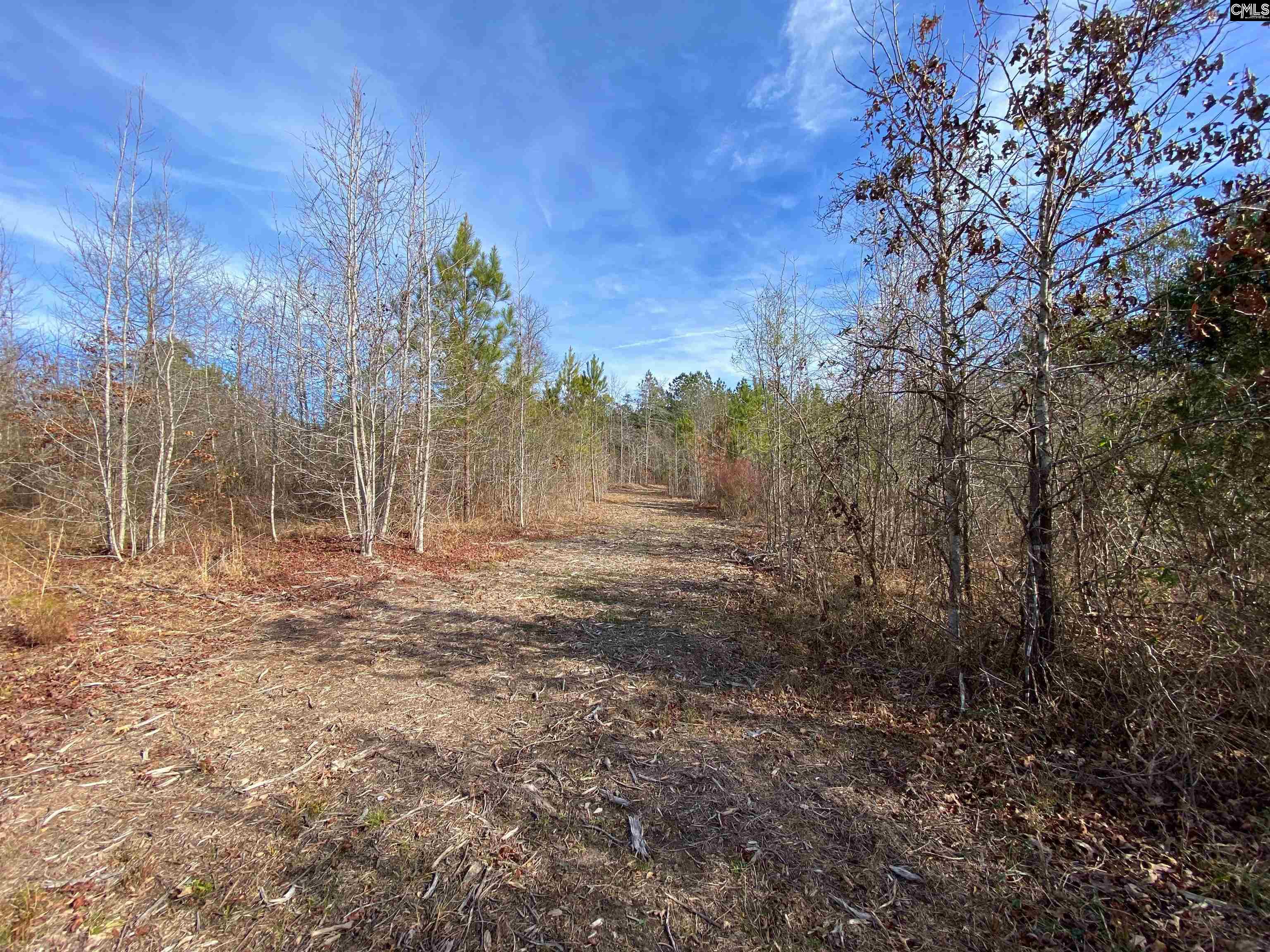 900 Pineywood Road Saluda, SC 29138 - Photo 15 of 23