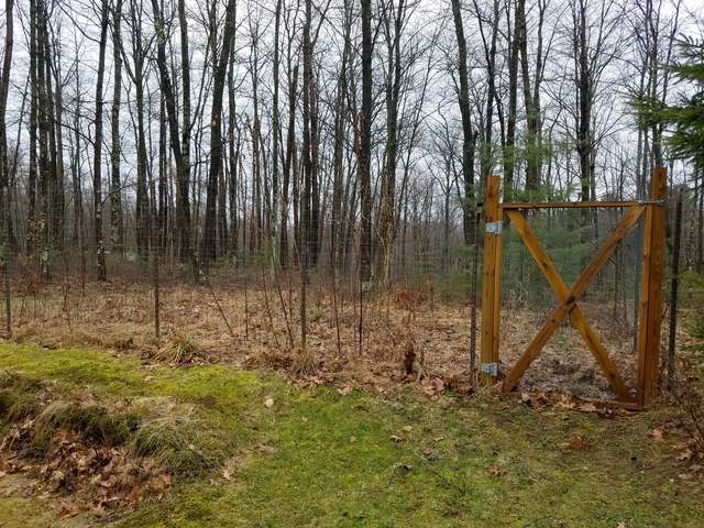 8022 North Alva Road Harshaw, WI 54529 - Photo 10 of 19 Gallery Image 10
