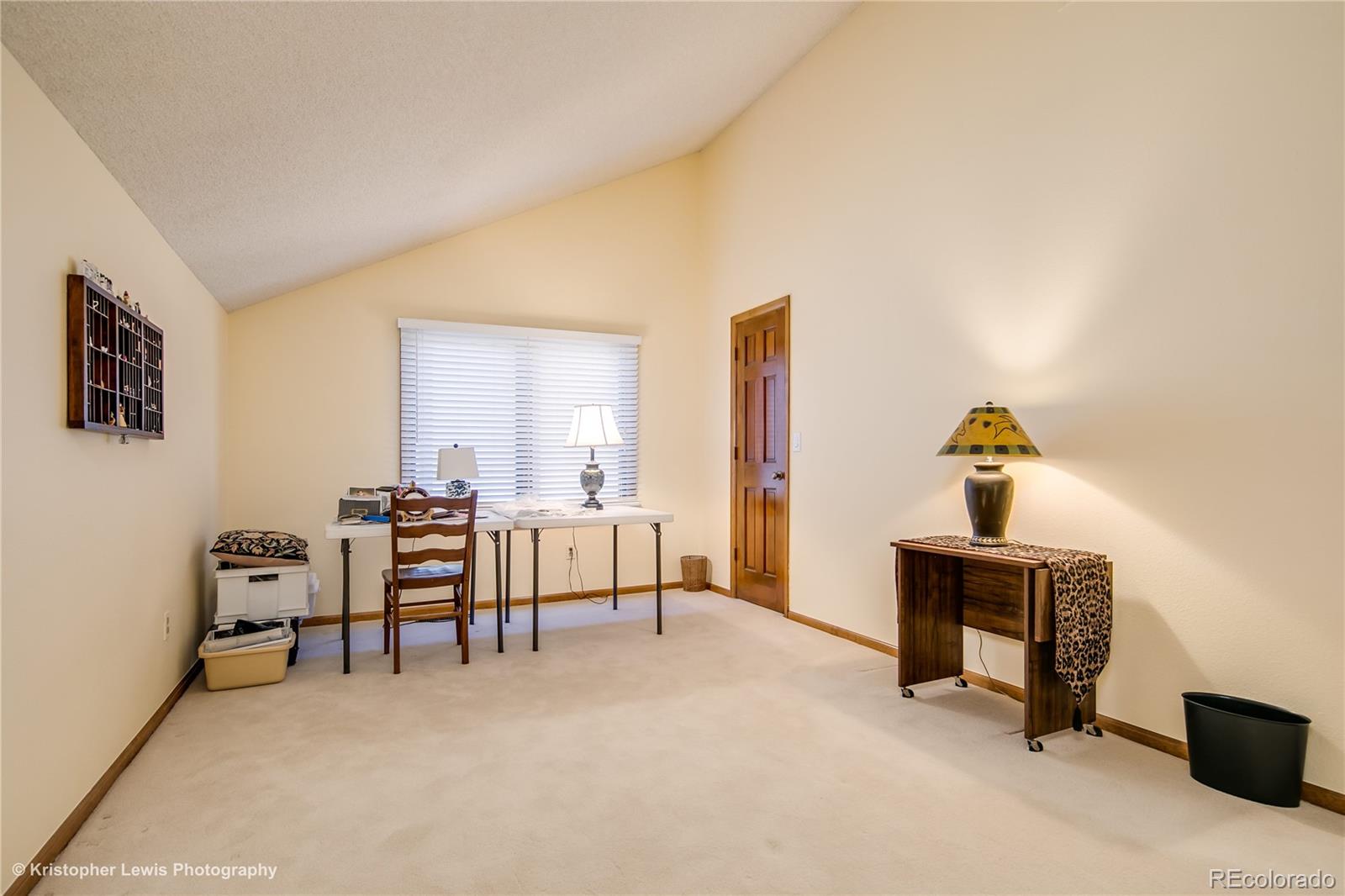 8247 Lodgepole Trail Lone Tree, CO 80124 - Photo 28 of 35 a view of living room with furniture and rug