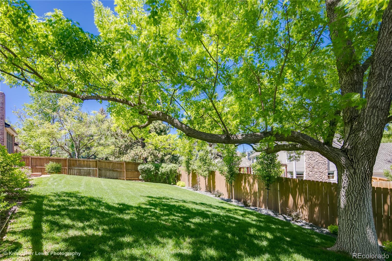 8247 Lodgepole Trail Lone Tree, CO 80124 - Photo 31 of 35 a view of backyard with plants and trees