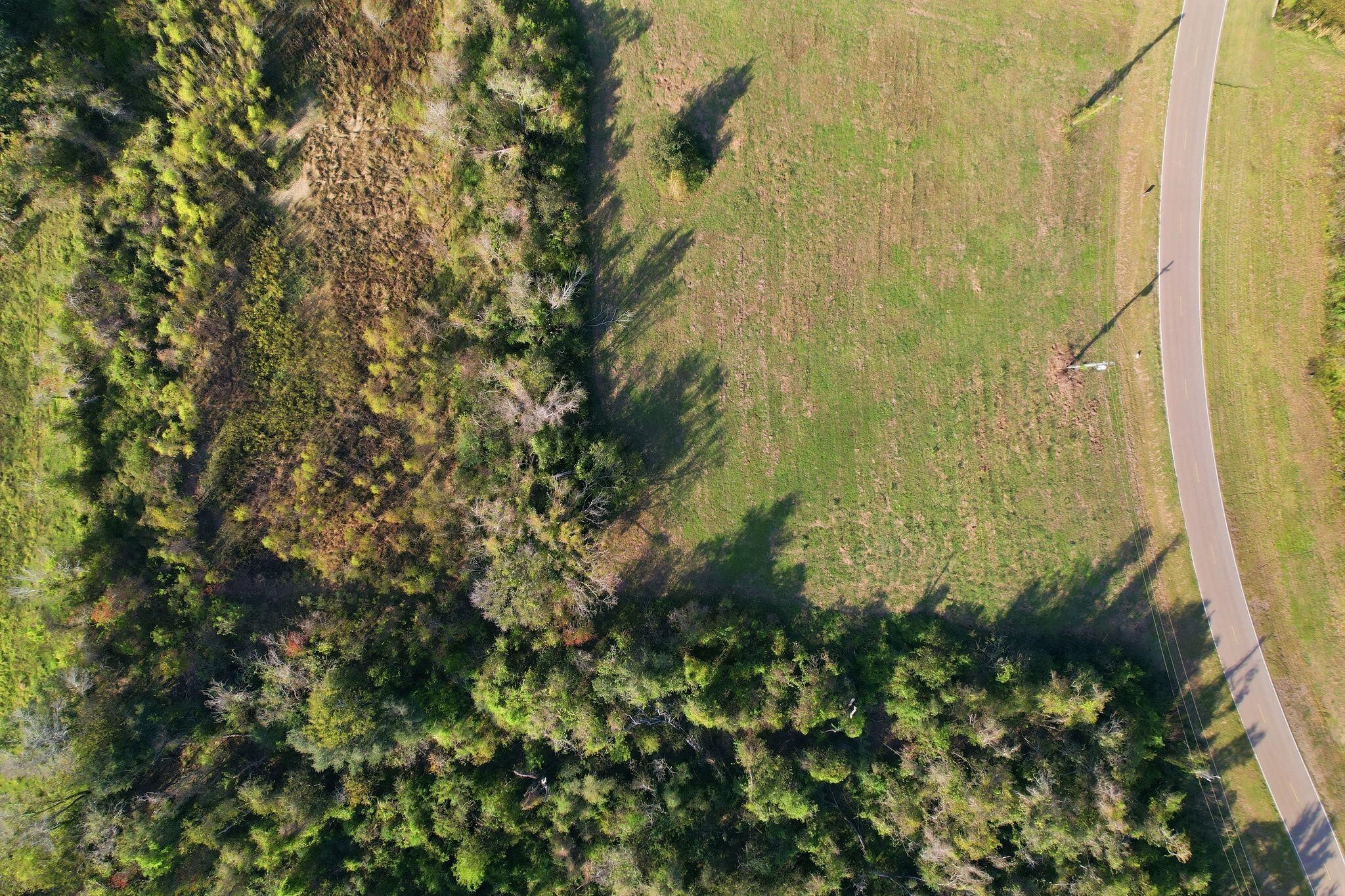 22818 Pittman Drive Angleton, TX 77515 - Photo 7 of 9 a view of a garden